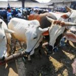 Keutamaan Puasa Sebelum Idul Adha: Cara Hapus Dosa! IMG_20250505_123530.jpg